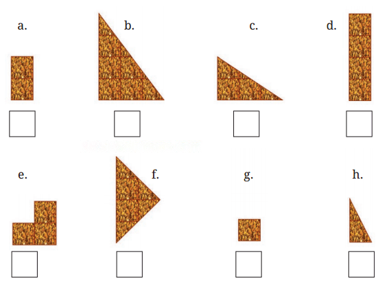 Fractions Diagram 2
