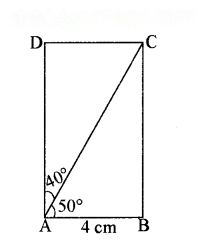 Playing with Constructions Diagram 50