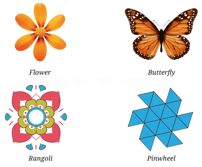 Symmetry Diagram 1