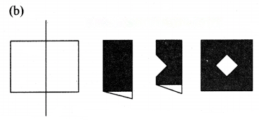 Symmetry Diagram 17