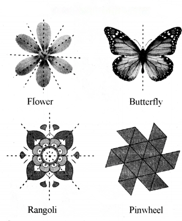 Symmetry Diagram 2