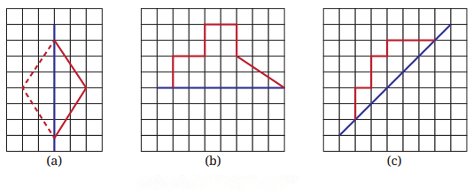 Symmetry Diagram 28