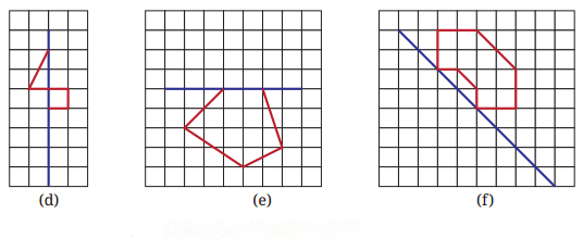 Symmetry Diagram 29