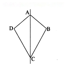 Symmetry Diagram 53
