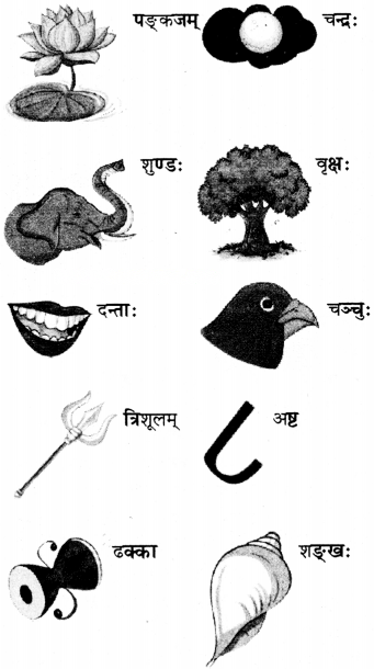 वयं वर्णमालां पठामः Diagram 5