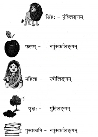 पृथिव्यां त्रीणि रत्नानि Diagram 6