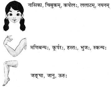 माधवस्य प्रियम् अङ्गम् Diagram 7