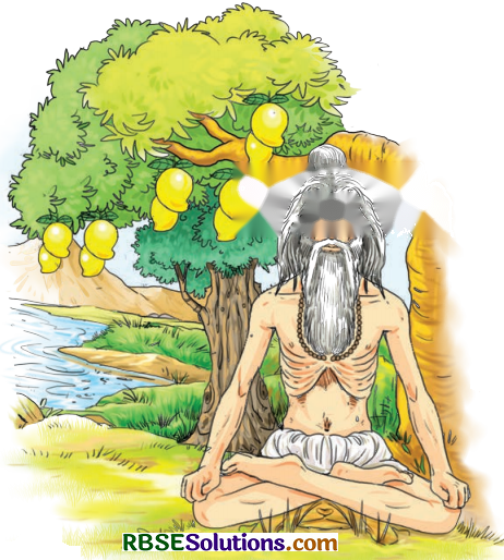 वृक्षाः सत्पुरुषाः इव Diagram 12