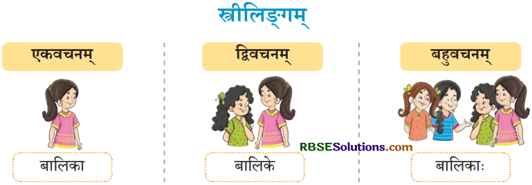 एषः कः एषा का एतत् किम् Diagram 13