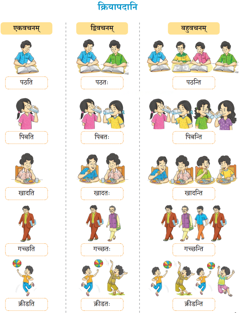एषः कः एषा का एतत् किम् Diagram 16