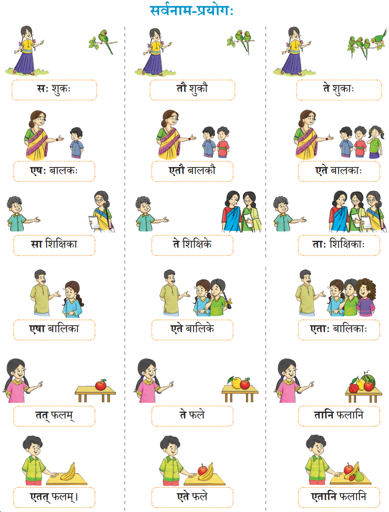 एषः कः एषा का एतत् किम् Diagram 17