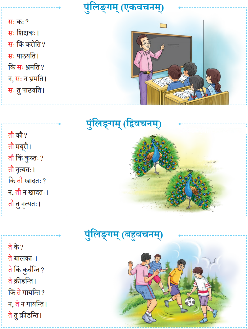 एषः कः एषा का एतत् किम् Diagram 18