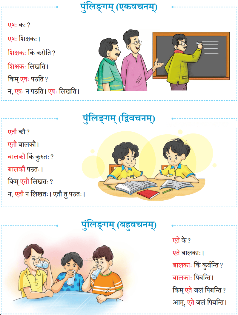 एषः कः एषा का एतत् किम् Diagram 19