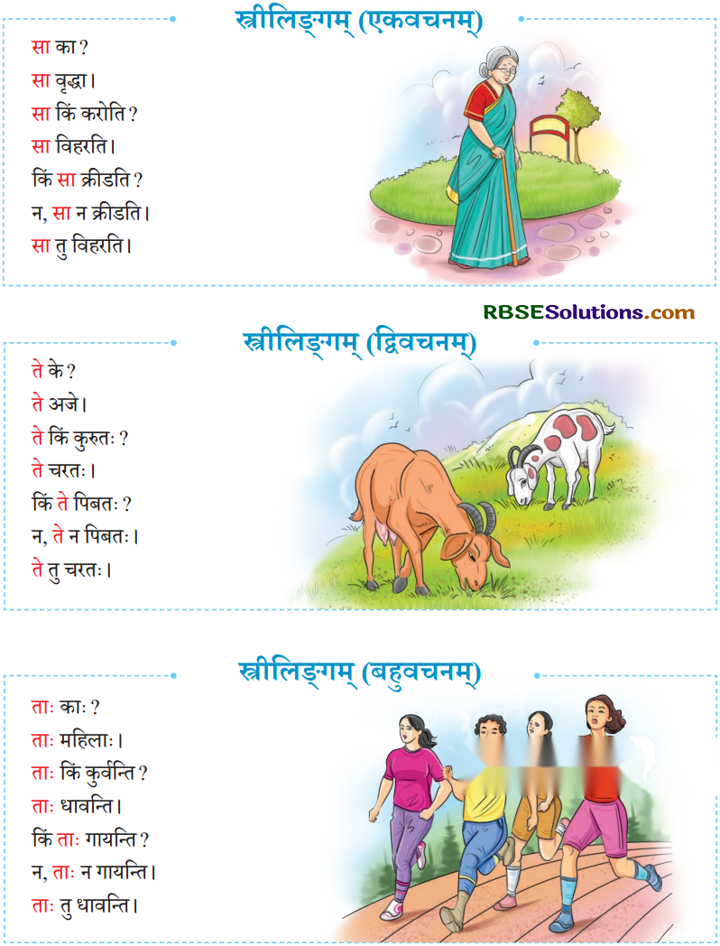 एषः कः एषा का एतत् किम् Diagram 20