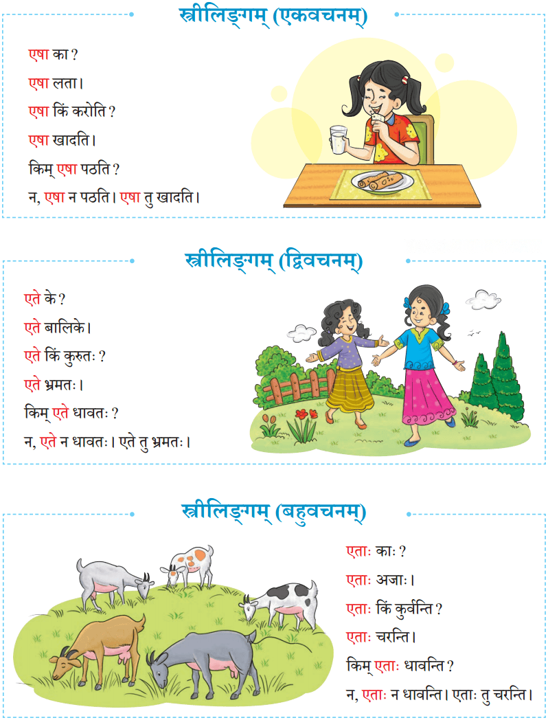 एषः कः एषा का एतत् किम् Diagram 21