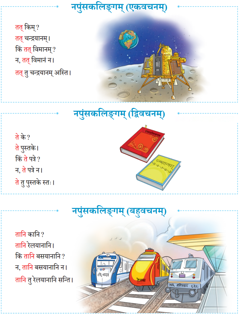 एषः कः एषा का एतत् किम् Diagram 22