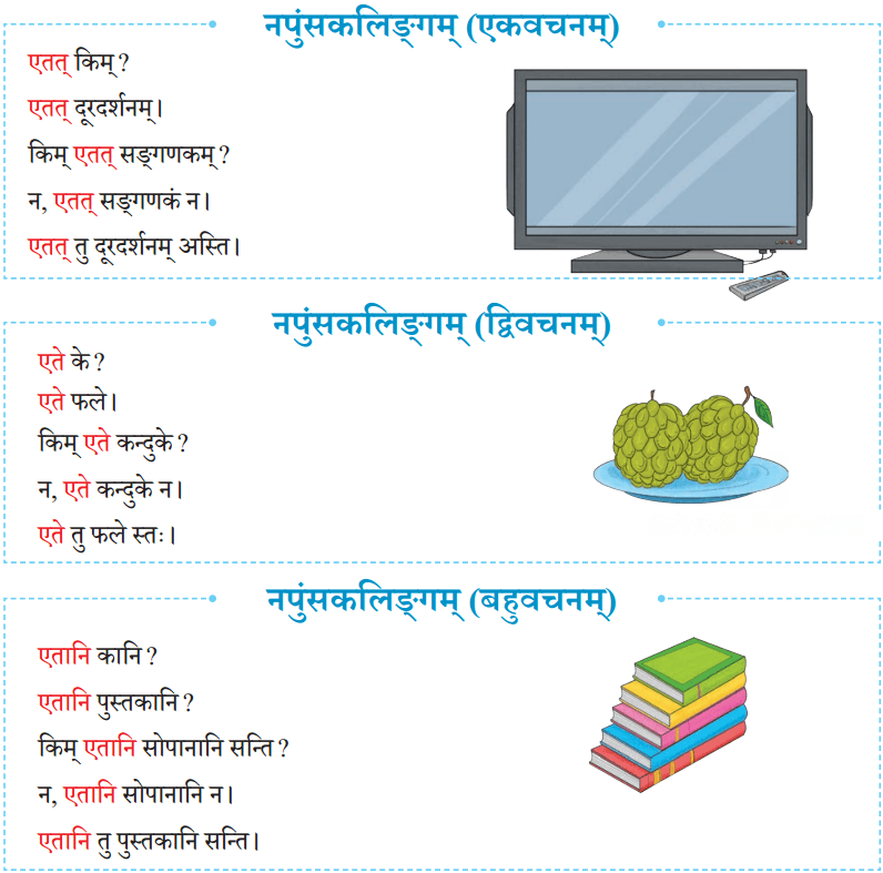 एषः कः एषा का एतत् किम् Diagram 23