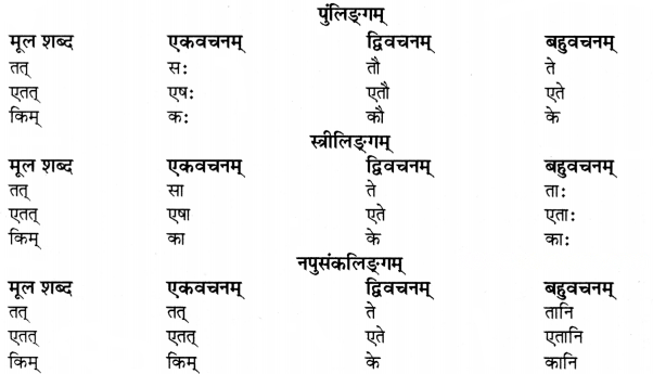 एषः कः एषा का एतत् किम् Diagram 24