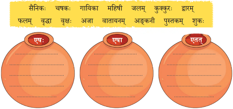 एषः कः एषा का एतत् किम् Diagram 6