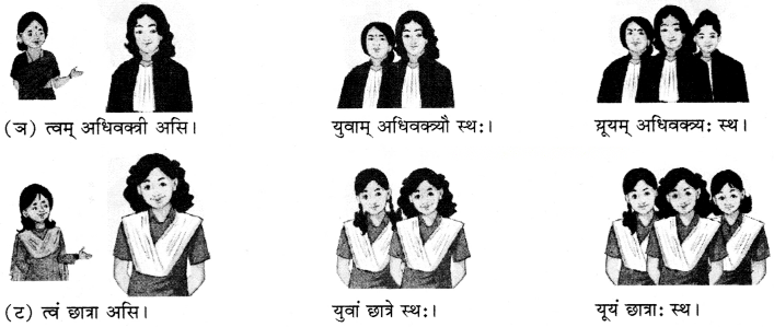अहं च त्वं च Diagram 10