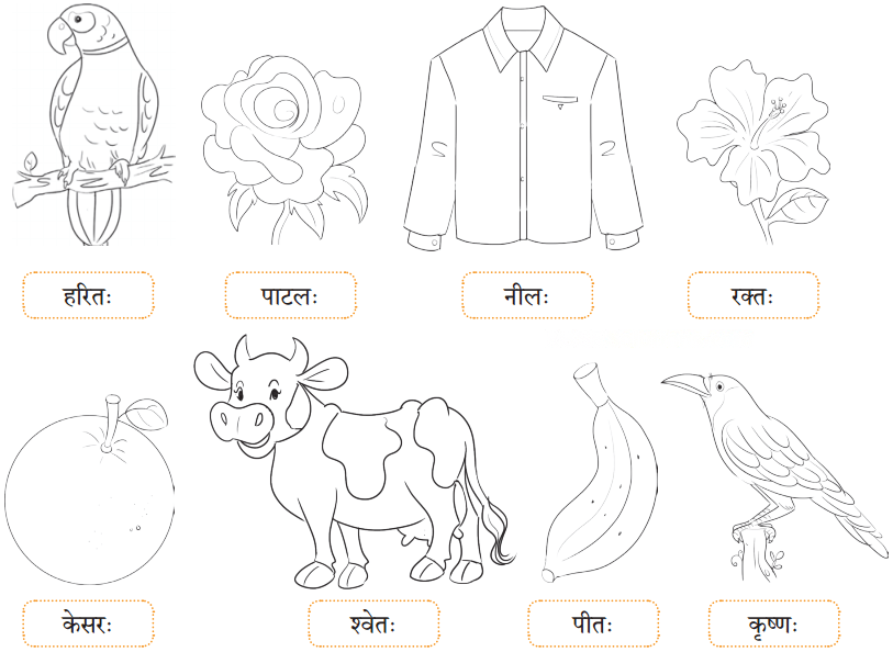 सः एव महान् चित्रकारः Diagram 6