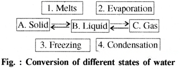A Journey Through States of Water Diagram 1