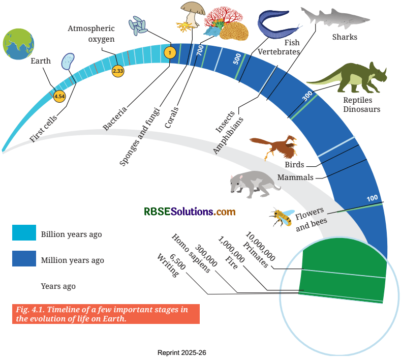 Timeline and Sources of History Diagram 3