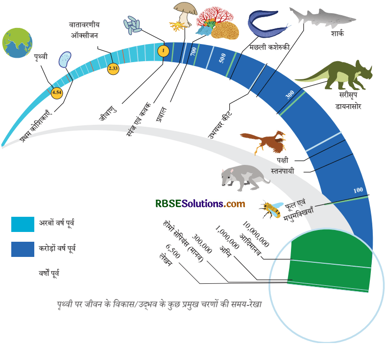इतिहास की समय-रेखा एवं उसके स्रोत Diagram 3