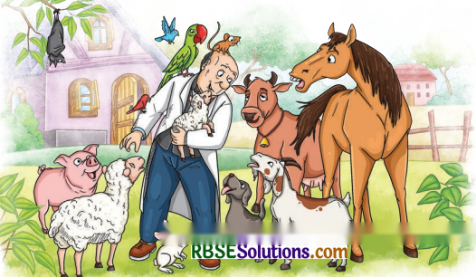 Animals Birds and Dr Dolittle Diagram 10