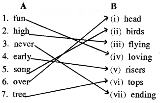 Animals Birds and Dr Dolittle Diagram 5