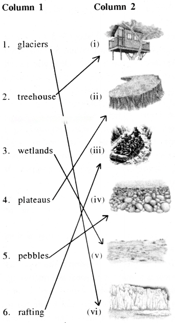 North South East West Diagram 3