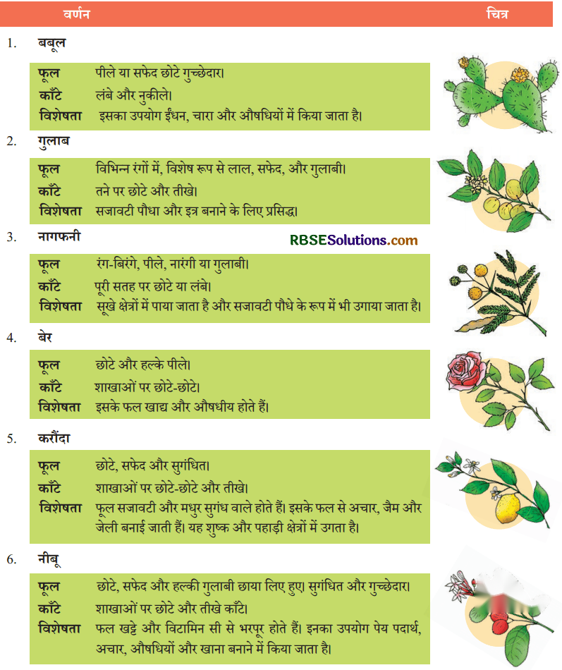 फूल और काँटा Diagram 22