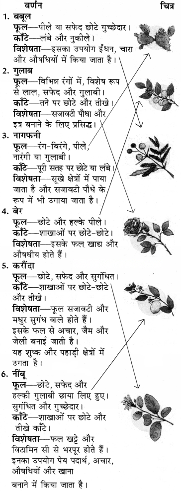 फूल और काँटा Diagram 23