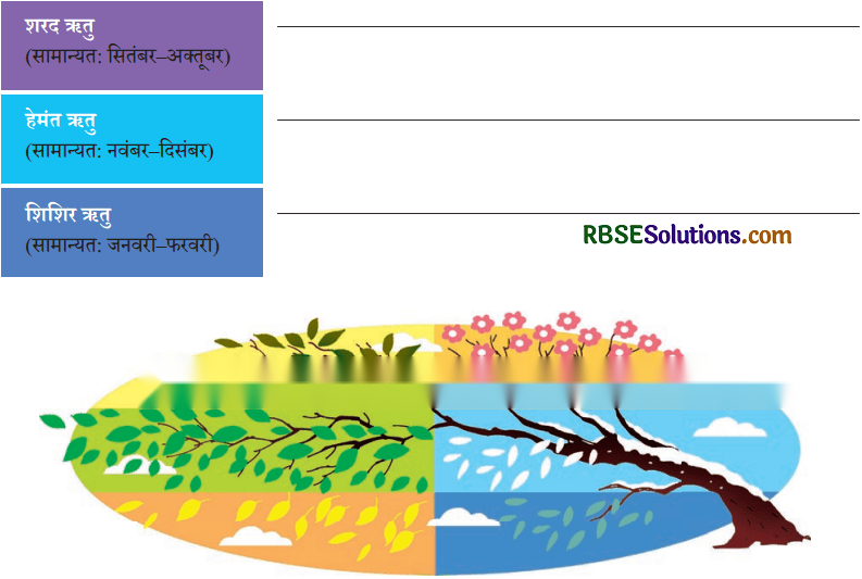 वर्षा बहार Diagram 13
