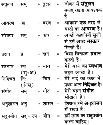 बिरजू महाराज से साक्षात्कार Diagram 12