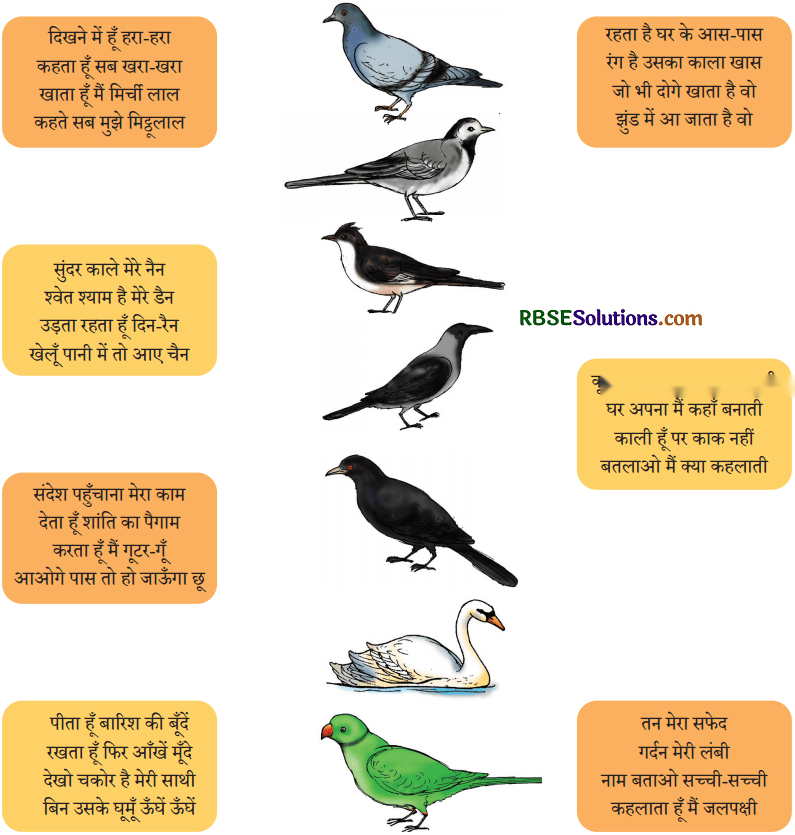 चिड़िया Diagram 11