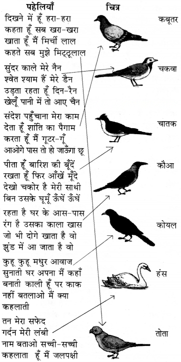 चिड़िया Diagram 12