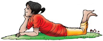 चिड़िया Diagram 3