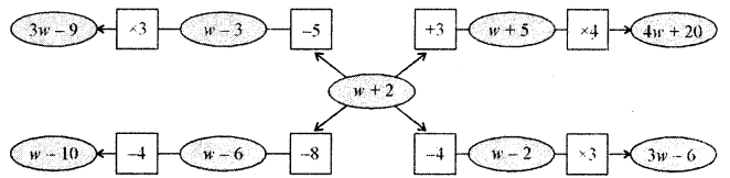 Expressions using Letter Numbers Diagram 10