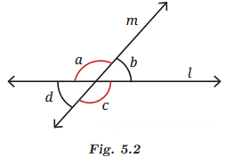 Parallel and Intersecting Lines Diagram 1