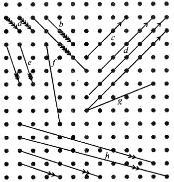Parallel and Intersecting Lines Diagram 12