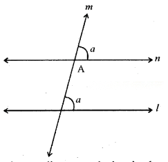 Parallel and Intersecting Lines Diagram 15