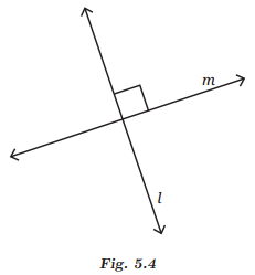 Parallel and Intersecting Lines Diagram 2
