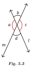 Parallel and Intersecting Lines Diagram 5