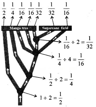 Working with Fractions Diagram 17