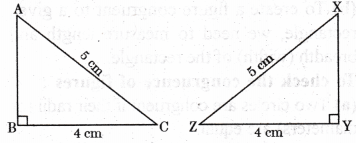 Geometric Twins Diagram 10