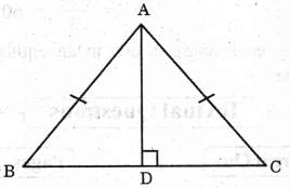 Geometric Twins Diagram 12