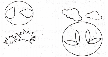 Geometric Twins Diagram 16