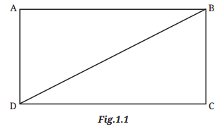 Geometric Twins Diagram 5