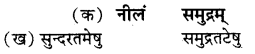 द्वीपेषु रम्यः द्वीपोऽण्डमानः Diagram 5